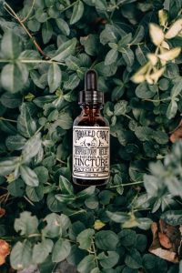 Crooked Crows dropper bottle among green ivy